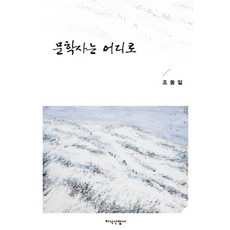 JisikSanupPublishing 文學史往何處去, 趙東一 著