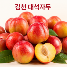 제철 여름과일 의성 햇 고당도 대석자두, 1박스, 상 3kg 56~62과 (50g내외)