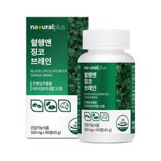 혈행앤 징코 브레인 90정 1박스(3개월분), 1박스
