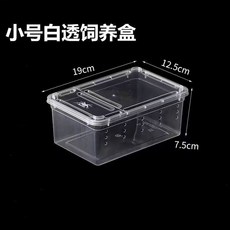 台灣出貨 角蛙盒 掌上明珠爬蟲飼養盒 烏龜爬蟲箱 烏龜飼養箱 飼養盒 龜盒 飼養盒 曬台 守宮飼養盒 爬蟲飼養盒, 1個, 透明小角蛙盒