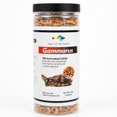 레인보우 감마루스1000ml, 1L, 1개