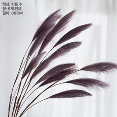 감성 조화 핑크 뮬리 갈대 인테리어 장식용 꽃 플라워 소품, 퍼플 5송이