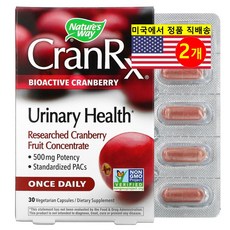 1+1 네이처스웨이 크랜베리 열매 농축액 500mg 30 베지캡슐 프로 안토시아니딘 허브, 2개, 30정