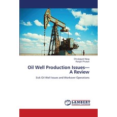 (英文圖書)Oil Well Production Issues-A Review 平裝版, LAP Lambert Academic Publis..., 英文