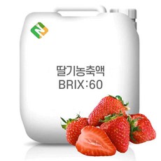 딸기과즙농축액 50Brix 200g 샘플, 1