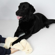 몬스터 펫 수건 베이지 강아지 타올 고양이 소형 목욕 98671ea 1(PC), 1개