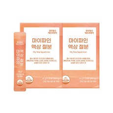 장인정신 에브리데이 마이파인 액상 철분, 450g, 2박스