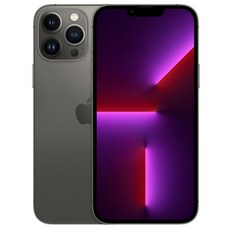 Apple 아이폰 13 Pro Max 자급제, 그래파이트, 512GB