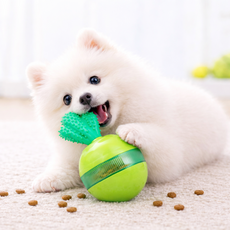 리더스펫 선인장 강아지 오뚜기 노즈워크 간식볼 실리콘 이갈이 장난감, 1개, 그린