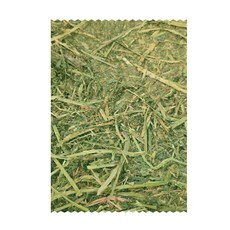 高營養苜蓿草 (10kg) - 幼兔/天竺鼠/馬專用牧草 | 高鈣優質墊料| 兔子/龍貓/草食動物通用 | 粗纖維高適口性 多功能苜蓿草, 10kg, 1個