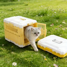 쬬린 접이식 반려동물 이동장, 옐로우, 1개