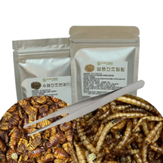 허니팜 햄스터 건조 번데기 밀웜 곤충세트 집게 증정, 2개, 20g