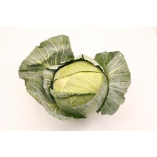 국내산 햇 양배추 신선 채소, 양배추 1통
