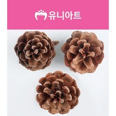 2500 천연솔방울 대 (Araium)