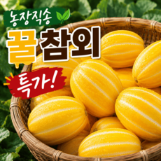 [농가직송] 당도최고 가정용 성주 꿀 참외 소과 3kg, 1박스