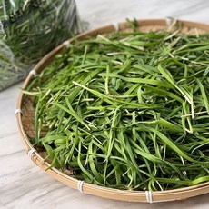 국내산 부드러운 부추 정구지 털이부추 500g, 1개