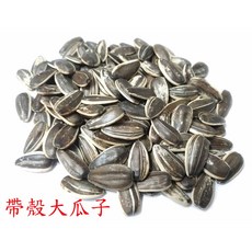 ＊來成鳥園＊精選零售飼料 美國進口, 1個, 大瓜子(帶殼)-450克