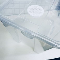 樹棲守宮飼養箱：爬蟲箱 適用於睫角守宮、巨人守宮、蓋勾亞 多尺寸可選, 1個, 卡扣款,空箱