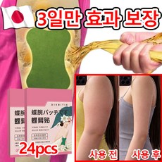 [일본 기술] 겨드랑이 부유방 독소패치 붙이는 다이어트패치 팔뚝 부유방 지흡 패치 바디 디톡스 밸런스 패치 지방분해, 2개