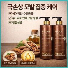피칸 클리닉 트리트먼트 인더스 대용량 극손상모 헤어팩 모발 영양 수분 케어, 2개, 1kg