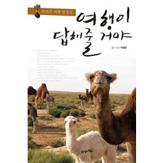 여행이 답해 줄 거야:히피의 여행 방정식, 21세기북스, 박혜영