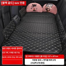헬로라이노 차량용접이식매트리스 차량용 접이식 침대 여행용 후방 매트리스 매트, 137 87cm 차량용 침대 2개 2개 D, 기본 차종