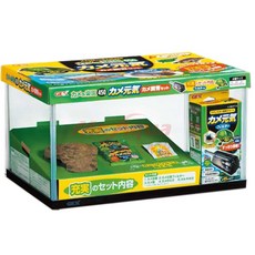 金金水族 日本GEX五味 烏龜缸 烏龜套缸 烏龜樂園套組(含沉水過濾 浮台) 飼育缸 寵物缸, 1個