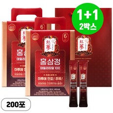 1+1 홍삼정 6년근 데일리타임 100포 고급쇼핑백, 2박스, 100회분