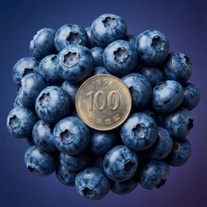 칠레 수입 생 블루베리 18mm 생과 4팩 슈퍼푸드