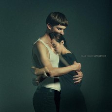Vinyl 비닐 LP 레코드 Untogether 10th Anniversary Edition Blue 미국 발송, Vinyl 비닐 LP 레코드 Untogether 10t