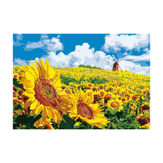 모모픽스페인팅 DIY명화그리기 60x75cm, WP27   해바라기 풍자