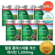 레시틴 1200 식약청인증 헬시위듀 콜레스테롤 영양제, 6개, 60정