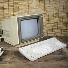 CRT 모니터 데스크탑 골동품 디스플레이 레트로 인테리어 앤틱 옛날 소품, 1개, 2. 흰색 모니터 장식용