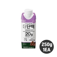 빙그레 더단백드링크 250ml 드링크초코 1개입/단백질드링크/우유단백질/단백질보충, 1개
