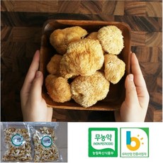 건 노루궁뎅이버섯 100g 노루궁뎅이슬라이드, 1개