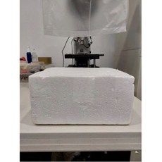 烏托邦水族蝦坊 保麗龍盒, 1個, 黑貓60公分尺寸