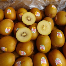 제주 골드키위/그리스 골드키위, 1박스, 제주제스프리골드키위 2.7kg 28-30개(비타)