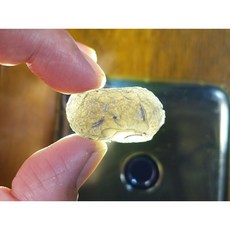 §能量礦石§ Saffordite Arizona亞利桑那隕石 32.77g 天狼星 美國隕石 產地直寄保真, 1個