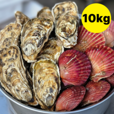 [초특가] 통영 석화 굴, 1개, 석화 7kg + 홍가리비 3kg