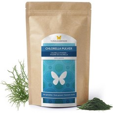 플뤼겔슈빙거 클로렐라 100% 분말 500g, 500.00g (1er 팩), 1개
