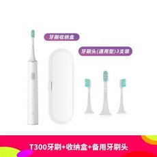 고급형 편도결석 석션기 이물질 제거 흡입기 구강청결, 칫솔  칫솔 보관 상자  예비 칫솔 헤드, D. 칫솔 칫솔 보관 상자 예비 칫솔