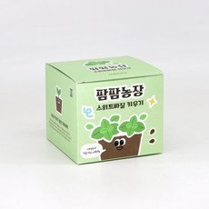 팜팜농장_스위트바질 베란다텃밭 홈가드닝, 1개