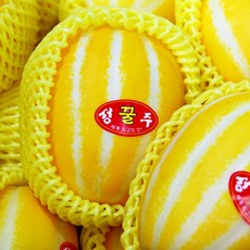 [초특가] 아삭달콤 성주참외 당도선별, 1개, 가정용(랜덤), 3kg