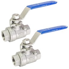 LOZOME 2피스 0.9cm(3/8인치) 풀 포트 볼 밸브 316 스테인리스 스틸 NPT 암나사 볼 밸브 물 오일 및 가스용