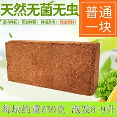 1+1 코코넛 파츠 벽돌 분갈이 원예부자재 가정용 원예 토양, 코코넛 토양 1+1, 단일사이즈