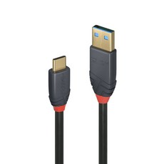 LINDY林帝Type-C快充線 USB 3.2 Gen 2 Type-C對A 10Gbps高速傳輸 PD智能電流晶片 支援100W充電, 黑 36910_A, 1個, 0.5m