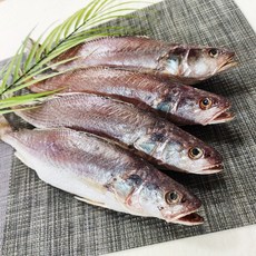 반건조 생선 민어조기 굴비 영상가이석태 제수용 특대생선 아이들반찬 구이 찜 선물용, 1세트, 24-26cm 5마리