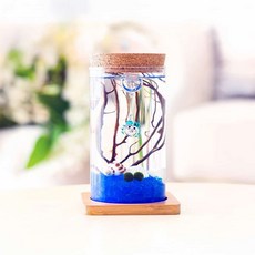 마리모 키우기 유리병 6.5x12.5cm 테이블 뚜껑 공병 어항 선물 인테리어