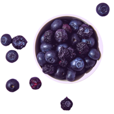 [BEST] 100% 순수과일 건조 햄스터 토끼 기니피그 친칠라 이갈이 간식, 1세트, 블루베리