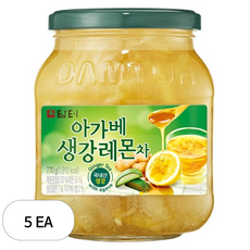 담터 아가베 생강레몬 액상차, 770g, 1개입, 5개